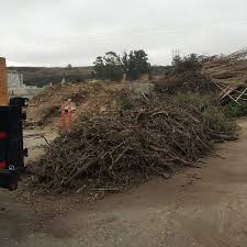 Yard Debris Removal example 3